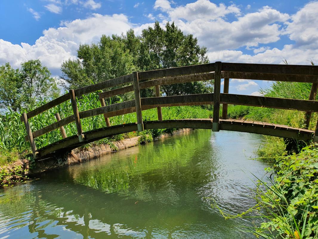 Imatge Sallent Turisme 064415-1060199.jpg