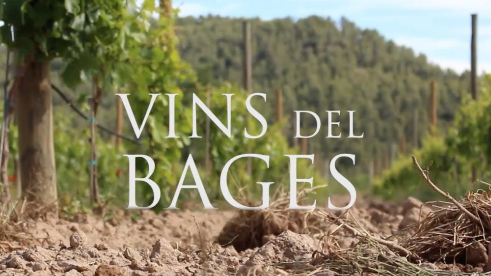 Celler Santmartí DO Pla de Bages 094927-1149153.jpg